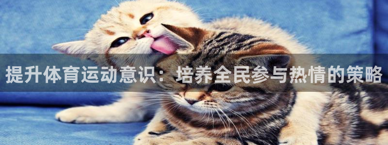 酷玩体育直播nba赛程