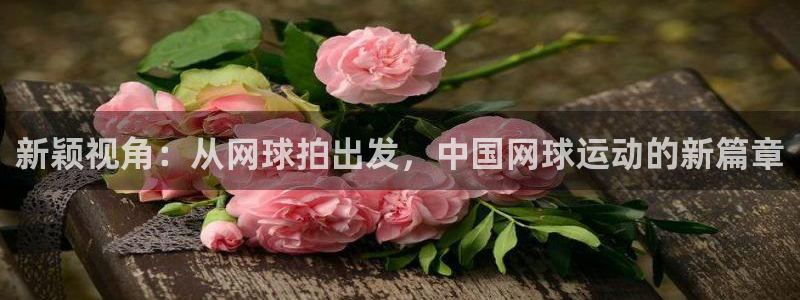 酷玩体育nba