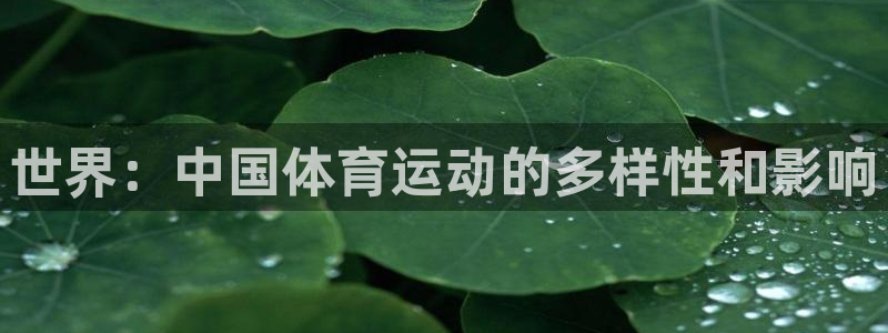 酷玩体育nba：世界：中国体育运动的多样性和影响