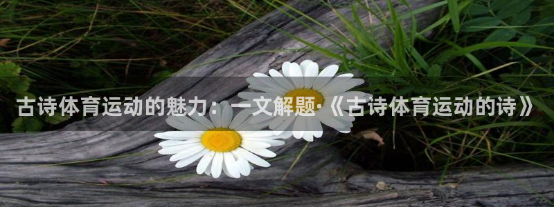 酷玩体育真的假的