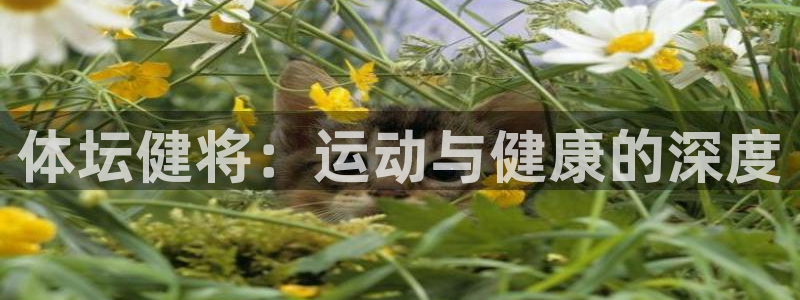 酷玩体育低调看NBA：体坛健将：运动与健康的深度