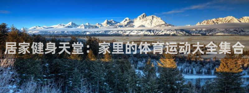 酷玩体育登录即领礼包入口：居家健身天堂：家里的体育运动大全集合