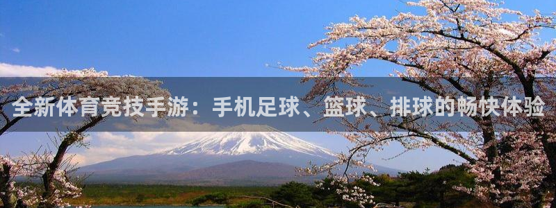 酷玩体育直播nba赛程
