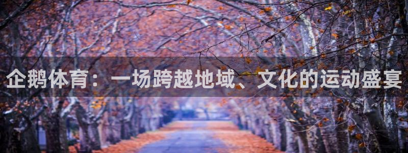 酷玩体育app