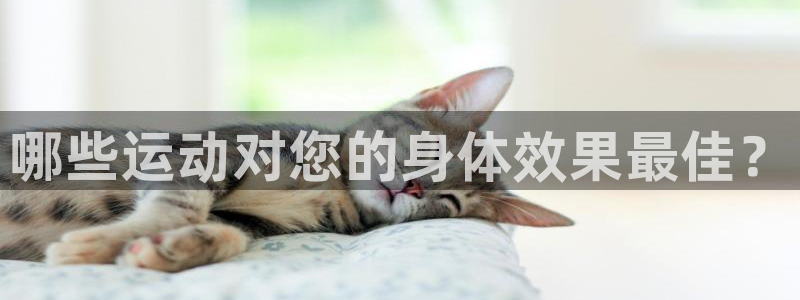 酷玩体育nba：哪些运动对您的身体效果最佳？